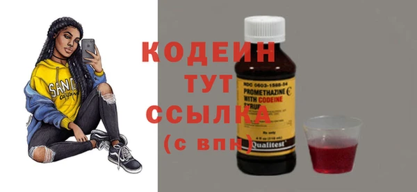 хмурый Михайловск