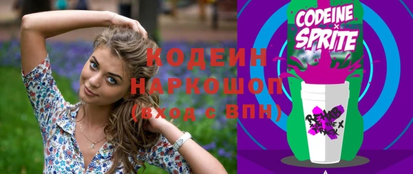 хмурый Михайловск