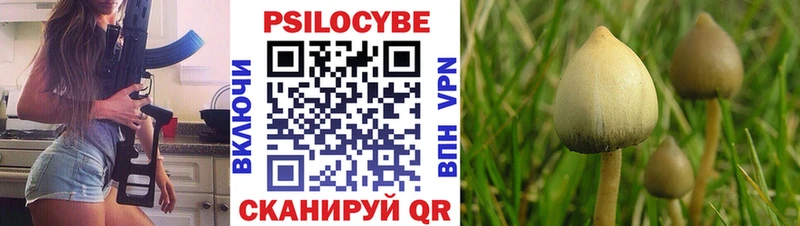 где найти блэк спрут рабочий сайт Псилоцибиновые грибы ЛСД Новоузенск